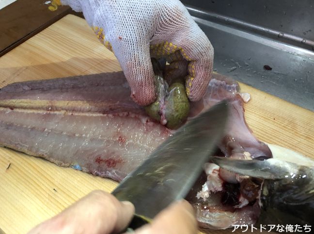 釣行回顧録番外編 釣ったナマズの宇宙一美味しい食べ方講座 アウトドアな俺たち