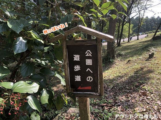 八重山公園の遊歩道